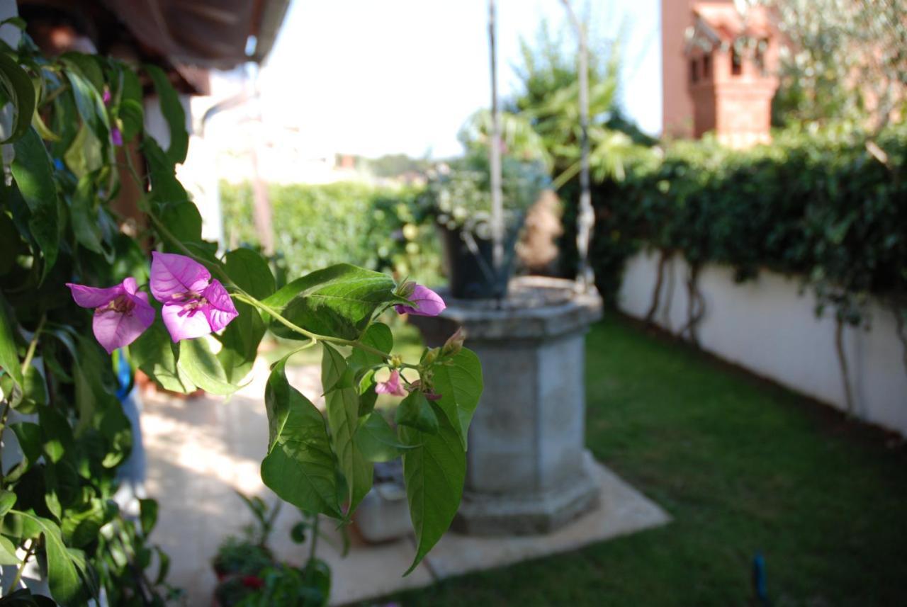 B&B Sea Joy Rovinj Kültér fotó