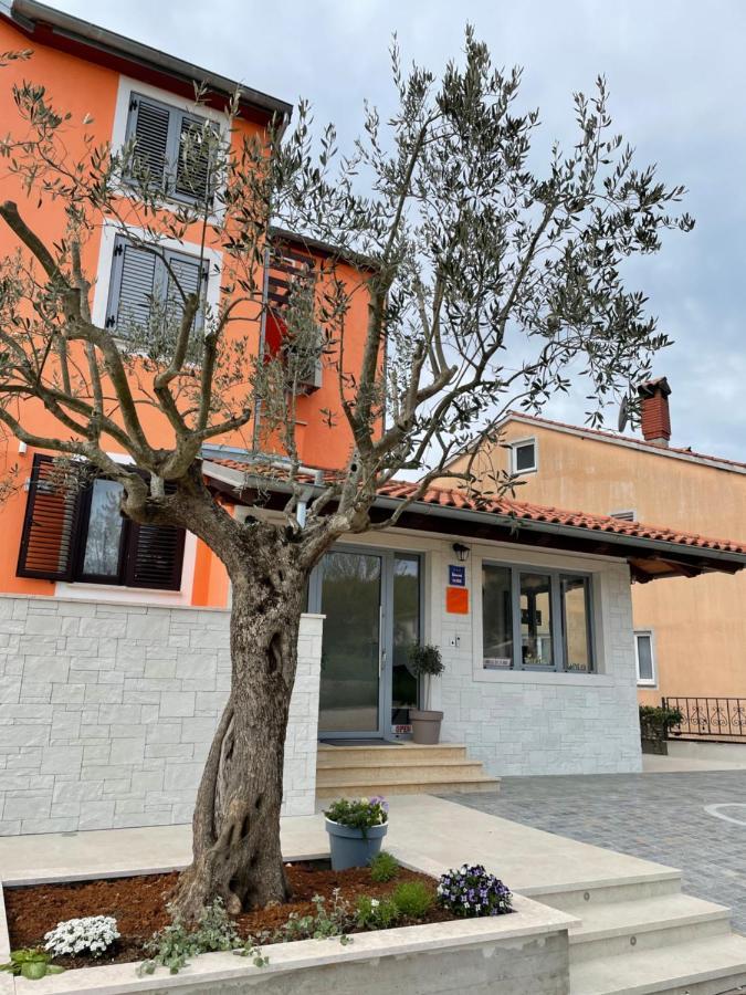 B&B Sea Joy Rovinj Kültér fotó
